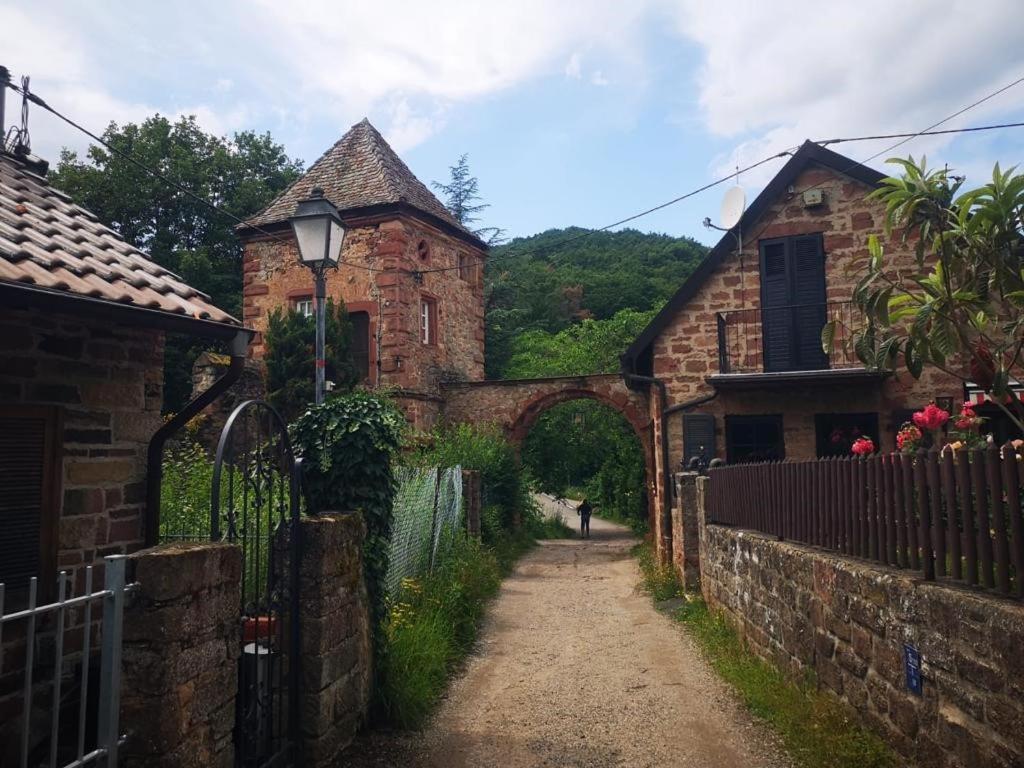 Wohnen Im Herzen Der Pfalz Neustadt an der Weinstraße 외부 사진