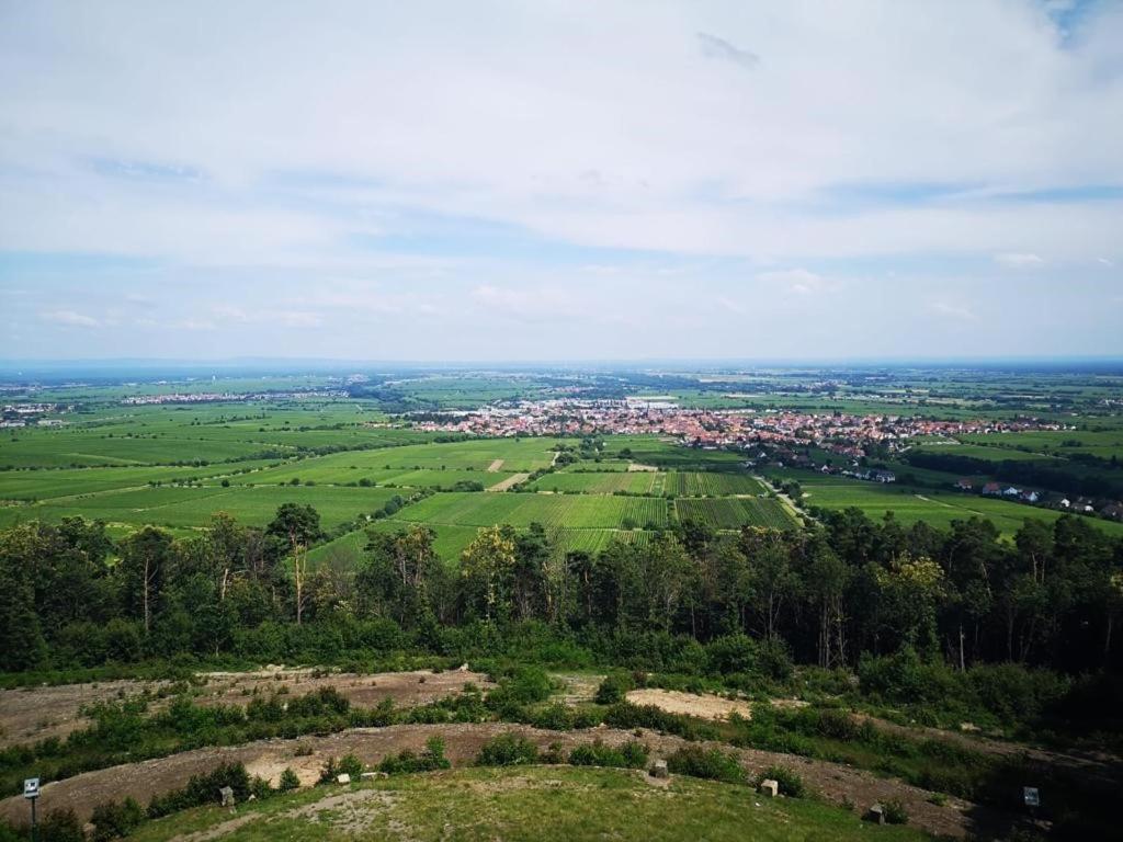 Wohnen Im Herzen Der Pfalz Neustadt an der Weinstraße 외부 사진